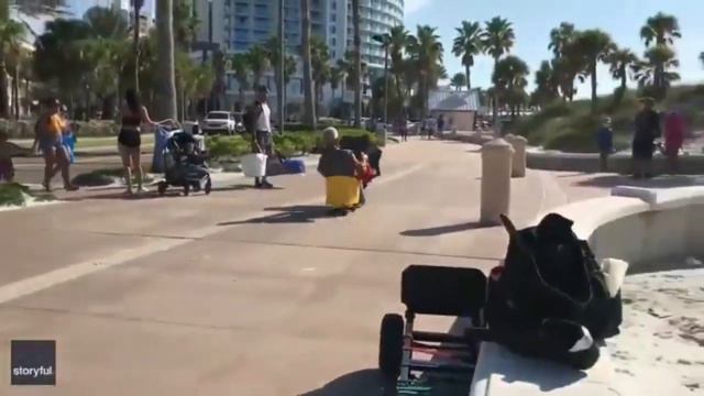 Florida Man Plays Bad Piggies irl смотреть онлайн