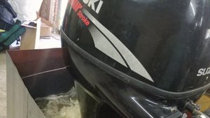 Suzuki df30