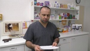 Как избавиться от блох?!