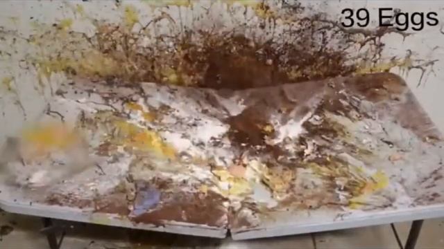 Every time howtobasic threw an egg from 2017 to 2020