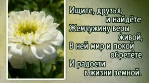 Гимны надежды 151 Просите, и будет дано вам (-)