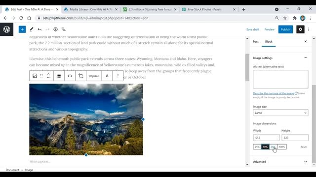WordPress Posts And Pages Tutorial [2023 GUIDE] смотреть онлайн