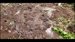Как сделать солонец