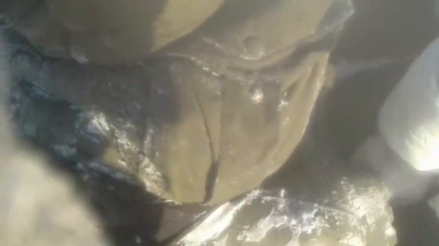 Катаюсь на буране часть 2 смотреть онлайн