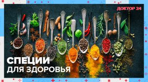 СПЕЦИИ для здоровья | Доктор 24