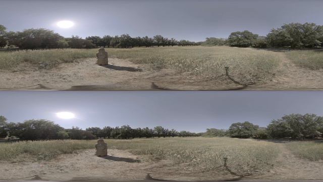 Askania-Nova Arboretum, Zoological Park, Kherson, Ukraine 8K 3D 360 footage смотреть онлайн