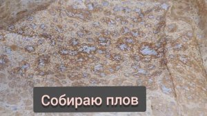 Плов с изюмом,сухофруктами и с грецким орехом. Ну очень вкусно! #пловсизюмом #плов