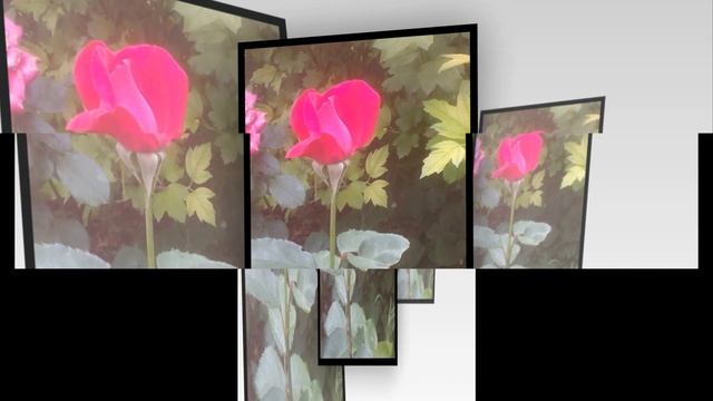 Миллион алых роз... смотреть онлайн