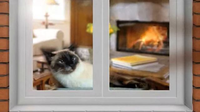 Окна Комфорт 10 сек смотреть онлайн