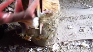 Приспособление для обрезки чеснока