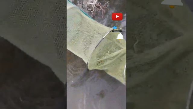 Шардара ГЭС. Валя апай территориясы 🎣🎣🎣