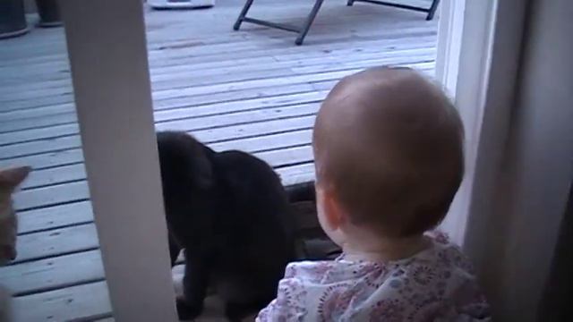 baby Anya and cats/Аня играет с котами смотреть онлайн