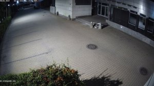 Nagranie testowe, kamera IP Hikvision DS-2CD2683G0-IZS, seria "EasyIP 2.0+", KOLOR NOC
