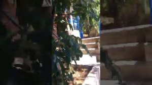 Продажа эллинга в Керчи с собственным выходом в море.