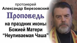 На праздник иконы Божией Матери "Неупиваемая Чаша" (2024.05.17). Прот. Александр Березовский