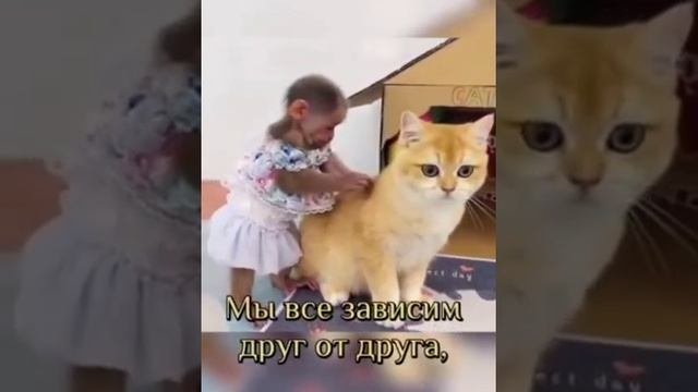 Милота.