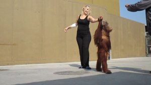 оранг и Света