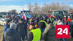 Польша взбунтовалась против украинского зерна - Россия 24
