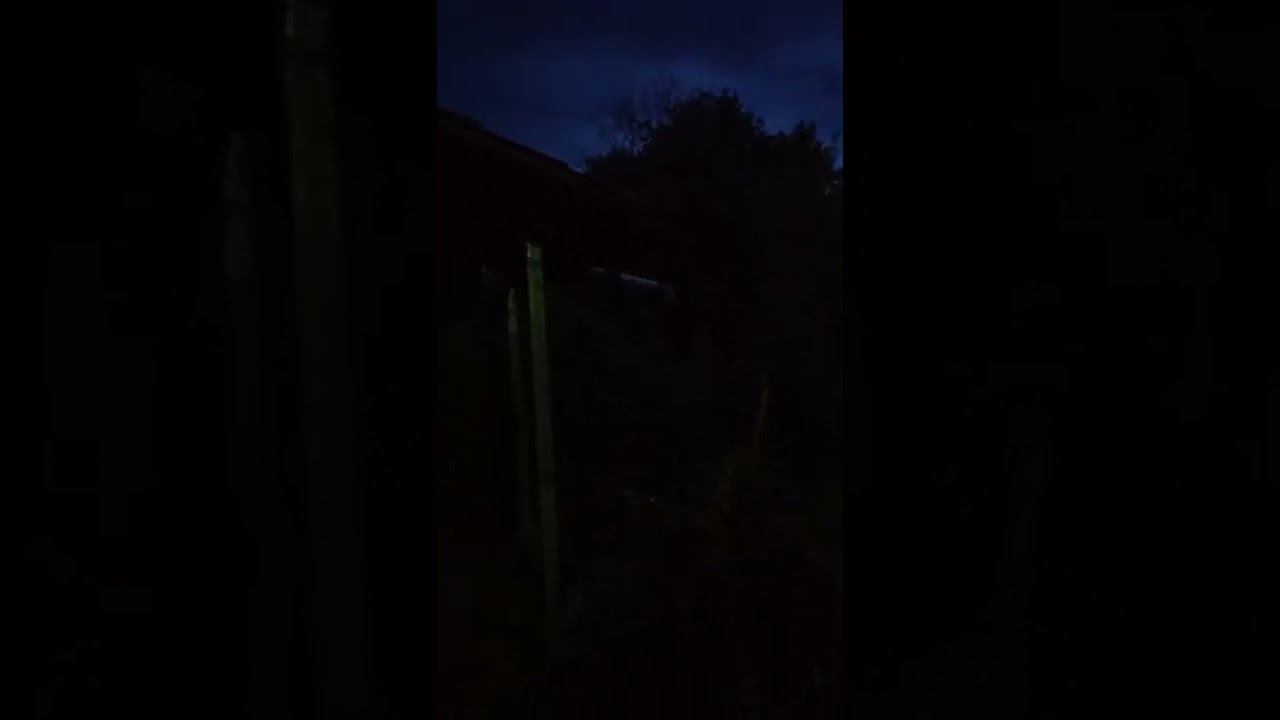 25 сентября 2022 г. смотреть онлайн