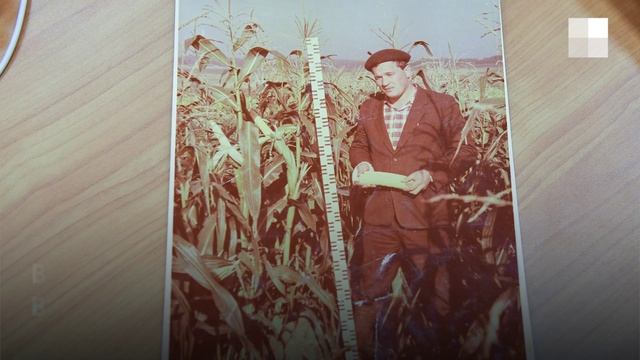 Кем быть через 10 лет: агроном
