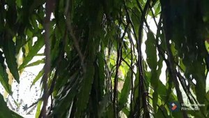 Привет из Абуджа.