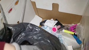 365 ??Поедем поглядим ,что можно найти на мусорках города ?