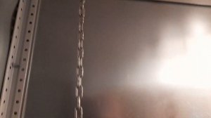 цыплята билефельдер 3 недели