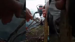 Рыбалка в Когалыме (Рыба есть)