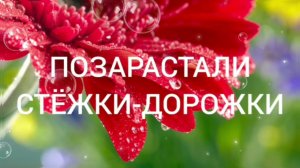 ПОЗАРАСТАЛИ СТЁЖКИ-ДОРОЖКИ.