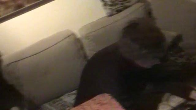 Съемки Исповеди Оборотня 2006 - 2007 года любительское видео смотреть онлайн