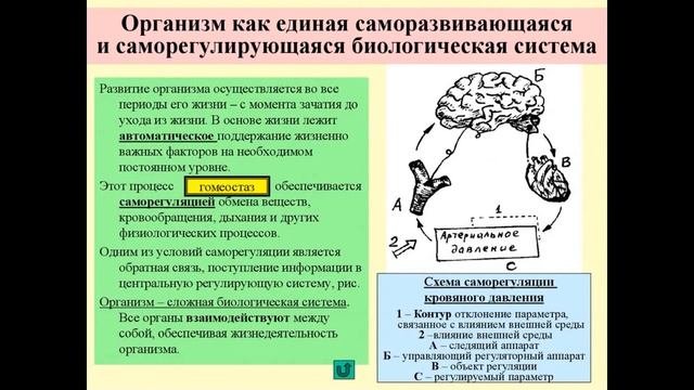 Системный подход. Системный анализ. Планета людей. Выпуск 5