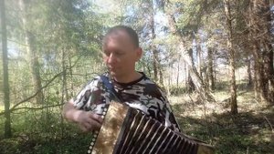 Тест для Авито. Гармонь "В-Волоцкая".