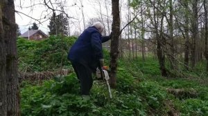 на минитракторе за дровишками