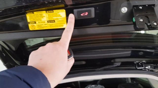 Haval Jolion - установили электропривод крышки багажника смотреть онлайн