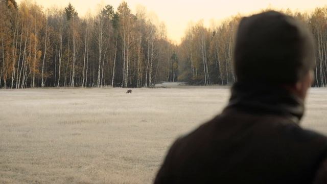 Охота на благородного оленя в Охотхозяйстве "Великовское"
