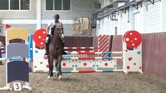Областные соревнования по конному спорту Ярославль 2013 год