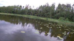Ловля окуня на вращающиеся блёсны