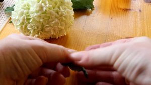 ФЕРМЕНТИРОВАННЫЙ ЧАЙ ИЗ ЛИСТЬЕВ ВИШНИ И ЧЕРЕШНИ КРУПНОЛИСТОВОЙ ЧАЙ СВОИМИ РУКАМИ. КАЛИНА "БУЛЬДАНЕЖ