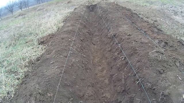 Теплые грядки В. И Розума