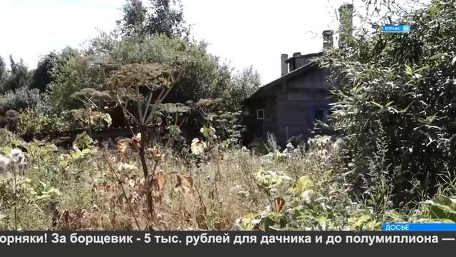 Дачные правила.