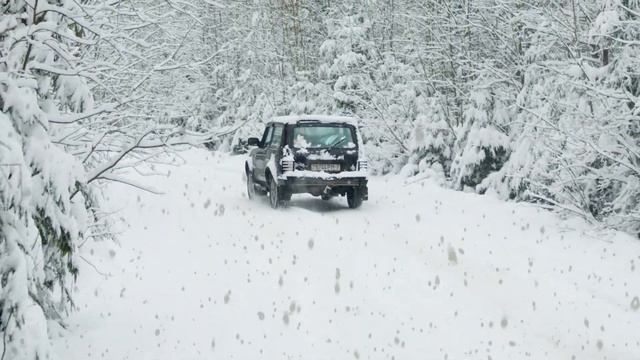 Новогодний вечер -С. Дубровин_ cover от С. Трандафилова смотреть онлайн