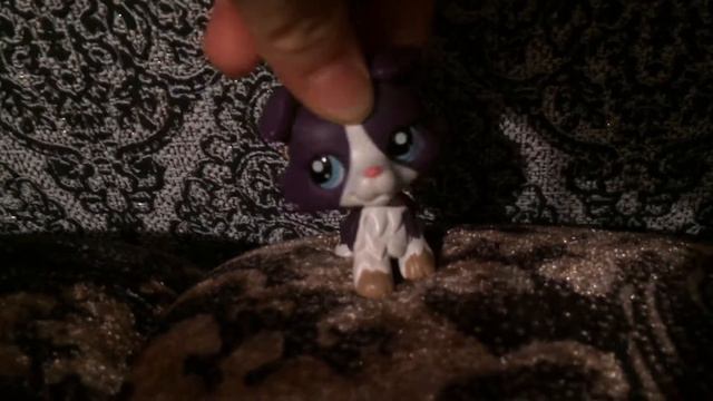 Канал Тиффани лпс смотреть онлайн