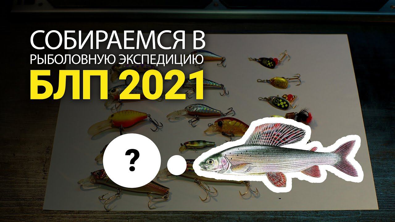 Что я возьму в БЛП 2021? Спиннинг, Воблеры, Блесны на Хариуса