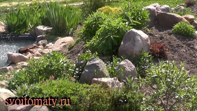 Альпийская горка весной