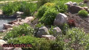 Альпийская горка весной