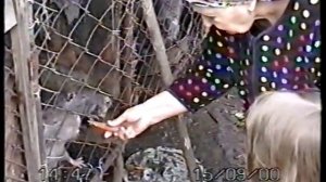 Кропоткин 2000 год.