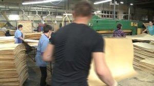 Импортозамещение 25.05.2022