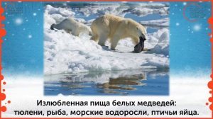 Окружающий мир. "Где живут белые медведи?"