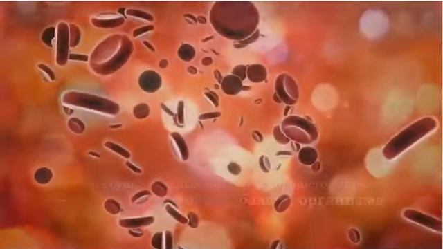 Ода щелочной воде смотреть онлайн