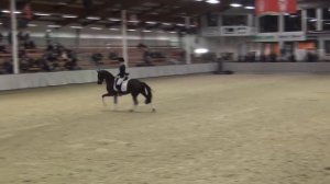 MOSES (Millennium x Donnerschlag - Weltmeyer) & Jessica Andersson